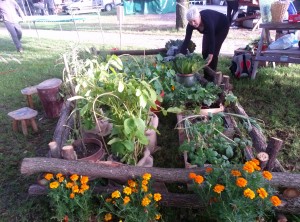 sejem prikaz vrta 016