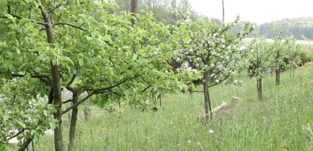 Screen Shot 2015-01-10 at 11.48.23