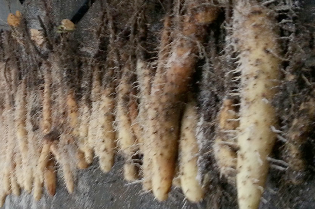 Screen Shot 2015-01-10 at 11.52.07