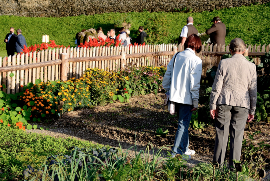 Screen Shot 2015-01-10 at 11.53.43