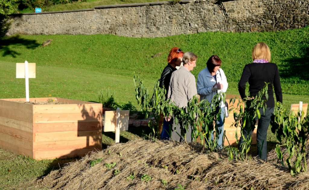 Screen Shot 2015-01-10 at 11.54.33