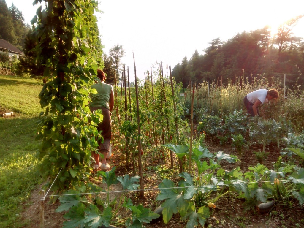 IMG_20150806_185501553_HDR